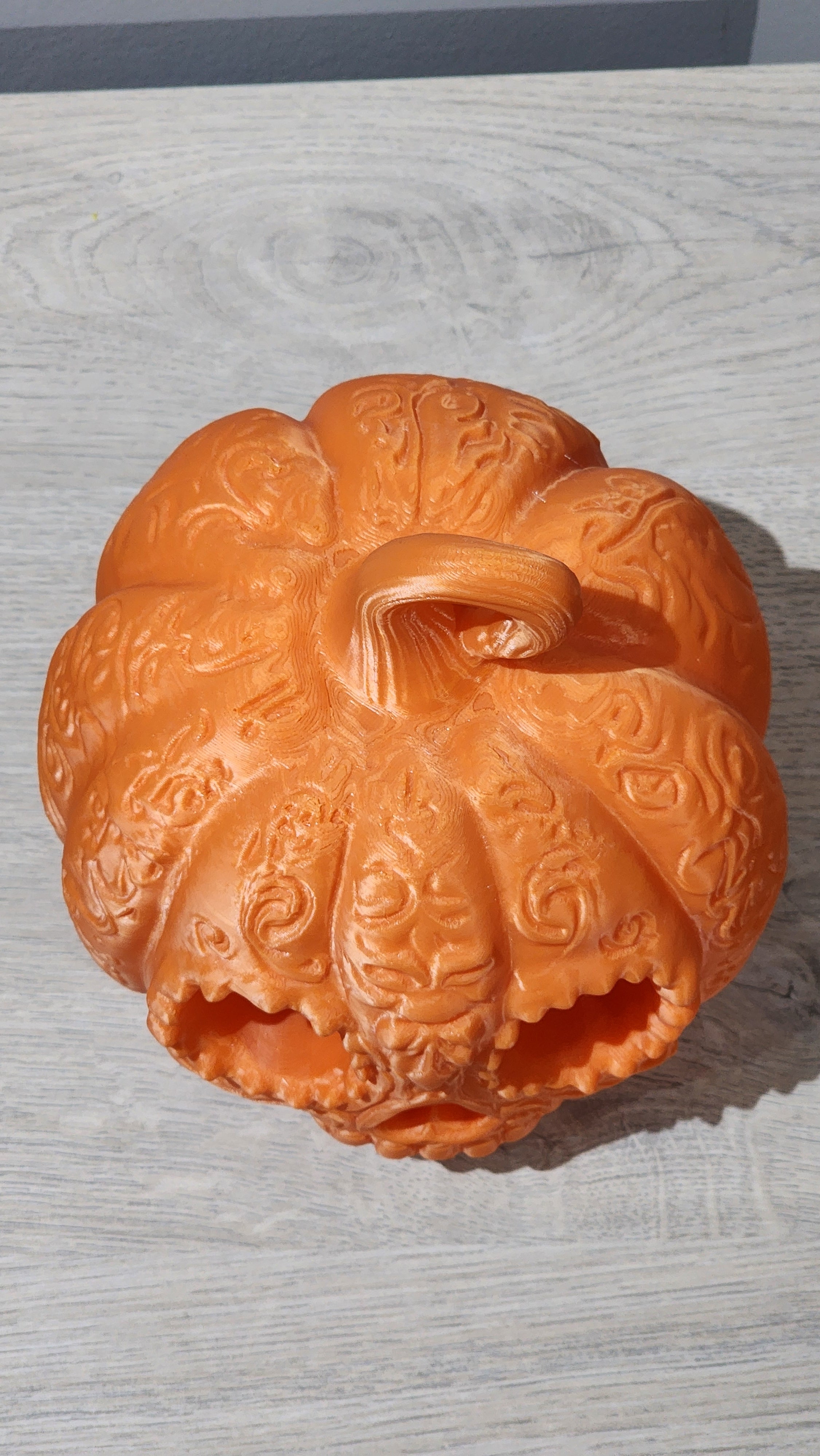 CALABAZA JARDÍN 🎃