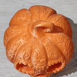 CALABAZA JARDÍN 🎃