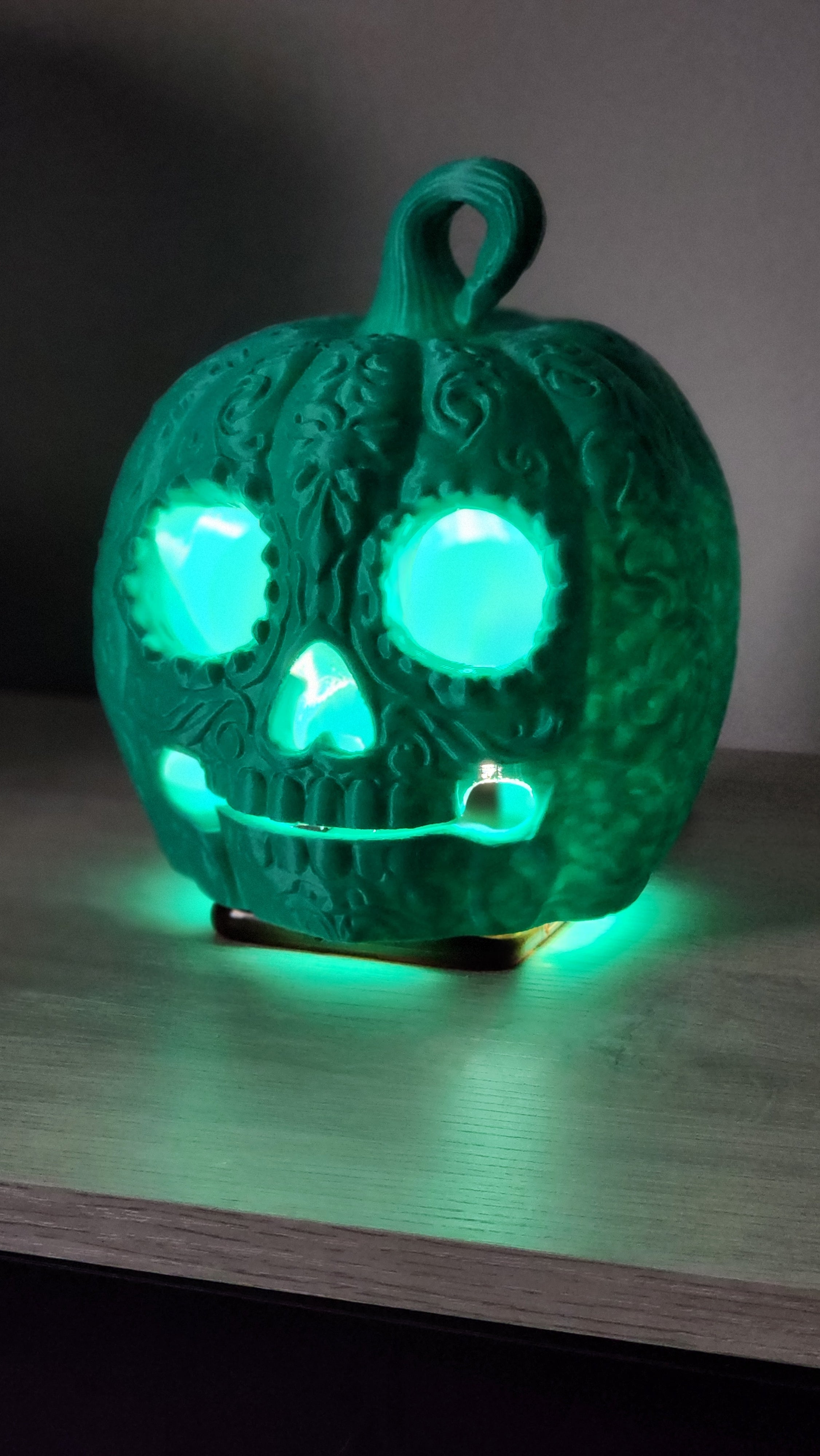 CALABAZA JARDÍN 🎃