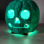 CALABAZA JARDÍN 🎃