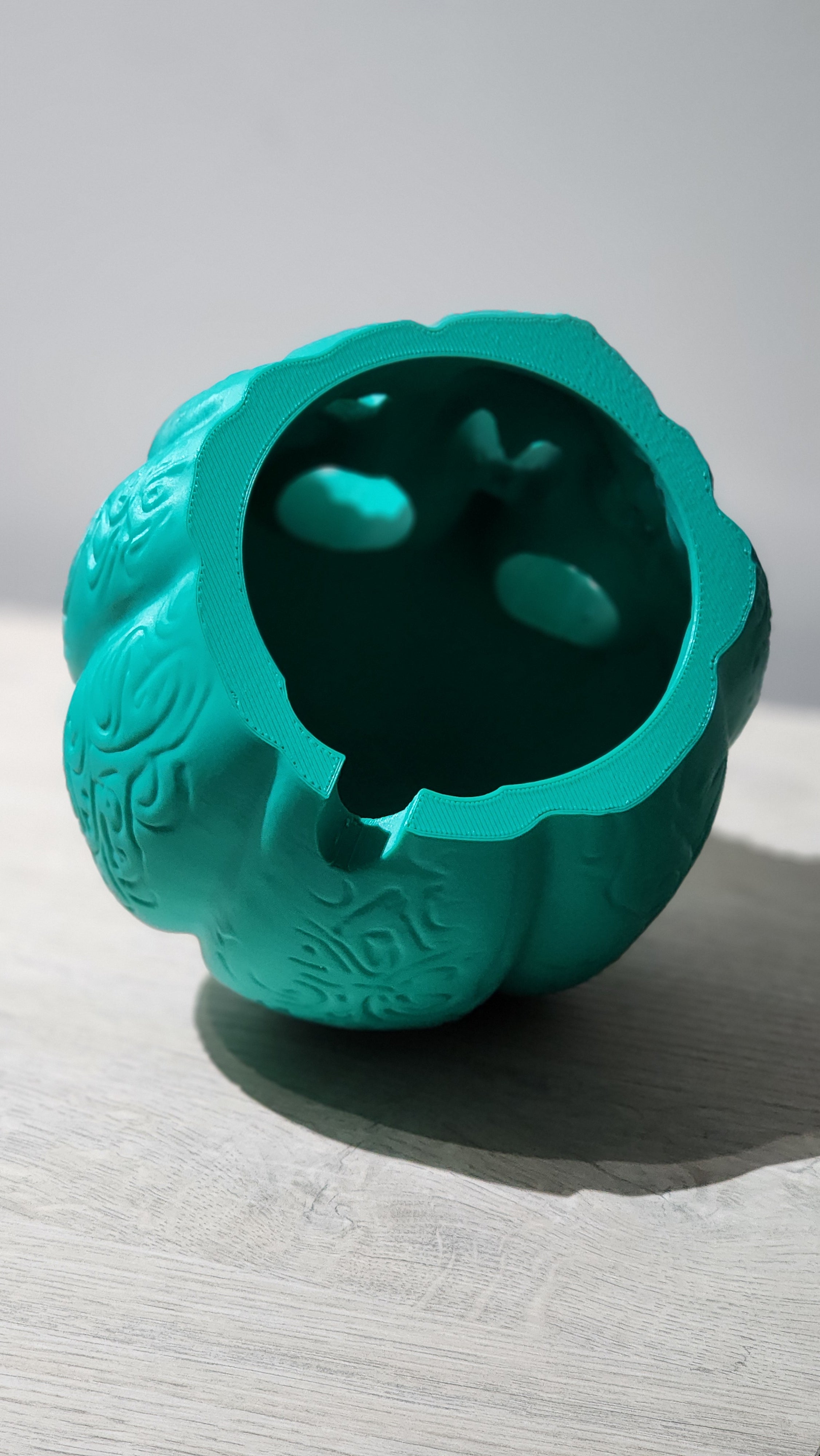 CALABAZA JARDÍN 🎃