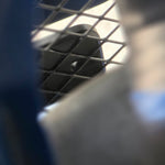 SOPORTE PLACA PATENTE DELANTERA MITSUBISHI EVOLUTION 7