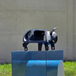 MAZDA RX-8 INTAKE + LUPA