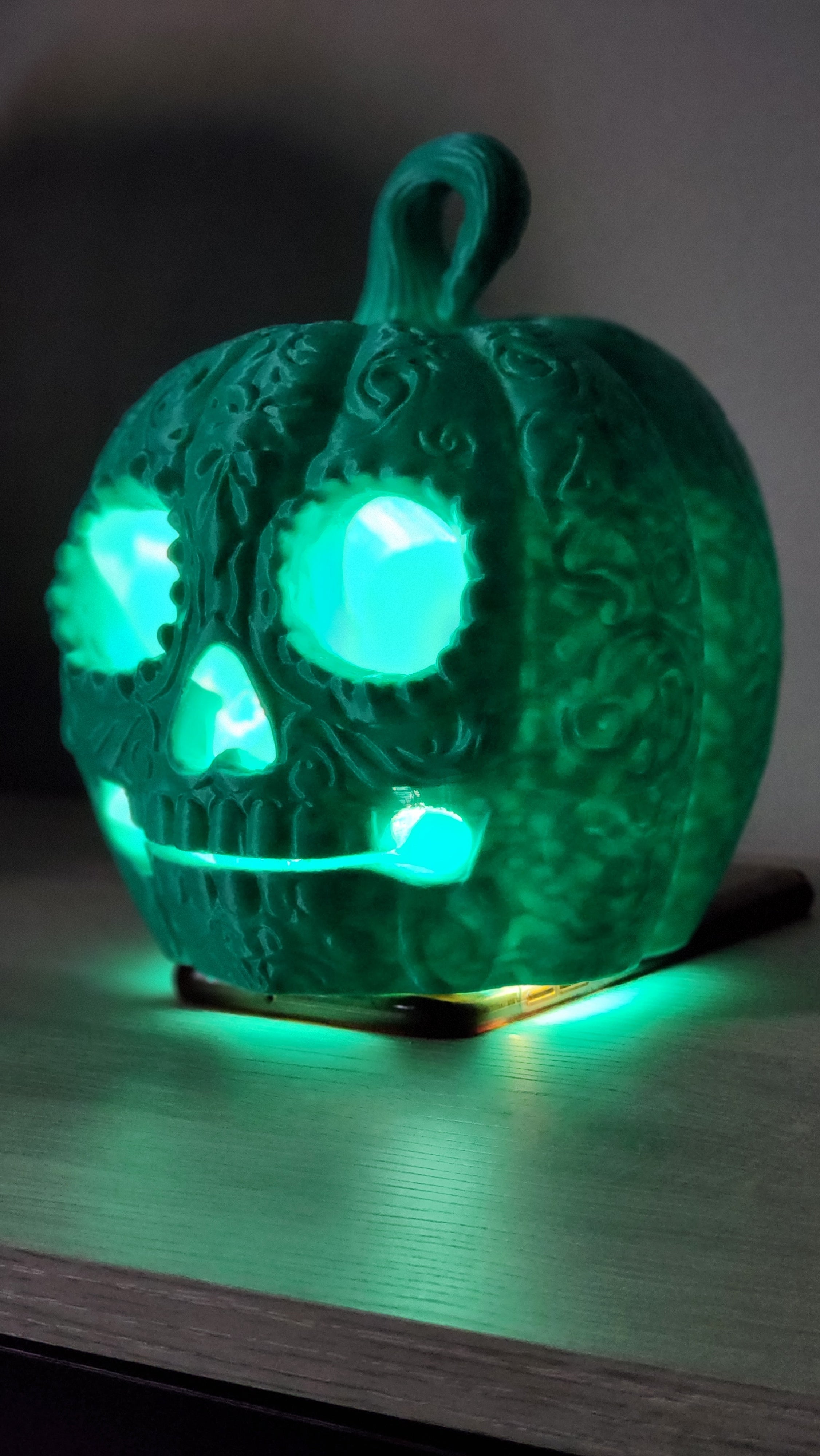 CALABAZA JARDÍN 🎃